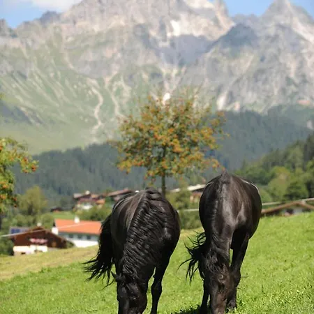 アパート Pilzhof フィルツモース