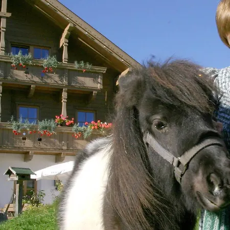 Daire Pilzhof Filzmoos