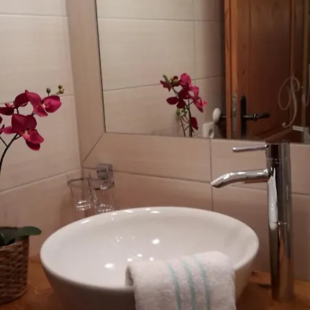 Pilzhof Daire Filzmoos