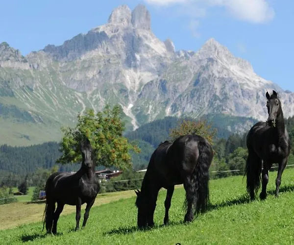 Pilzhof *