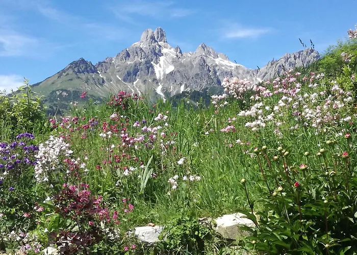 Pilzhof * Filzmoos